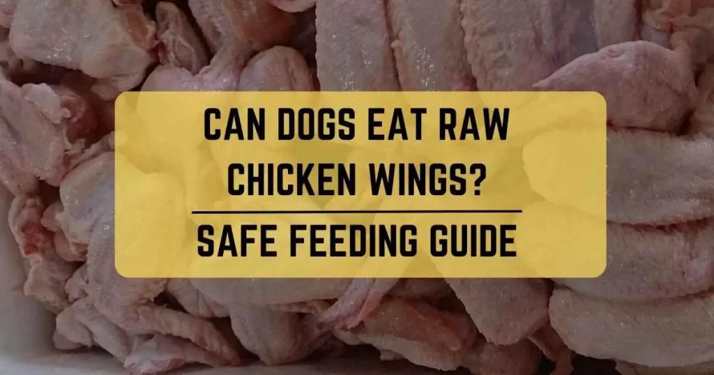 Raw chicken wings store for dogs teeth